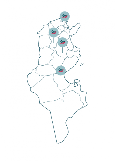 Map-Tunisia-antenne-redstart-1086x1536