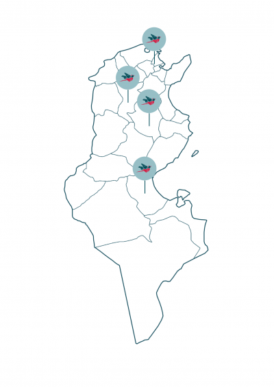 Map Tunisia antenne redstart